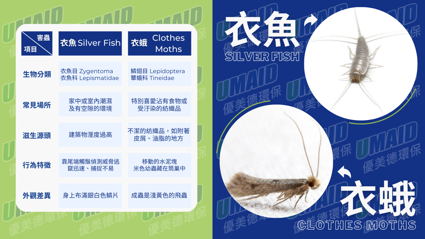 簡單分辨衣魚 Silverfish及衣蛾 Clothes Moths